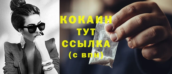 сатива Дегтярск