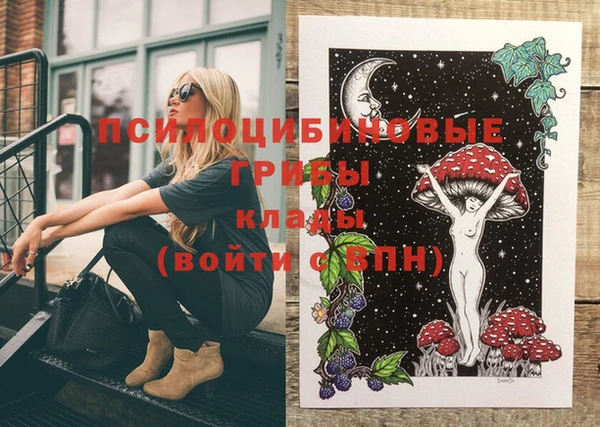 spice Мегион